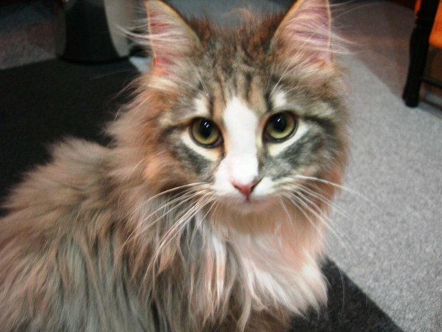 DSCN0721.jpg