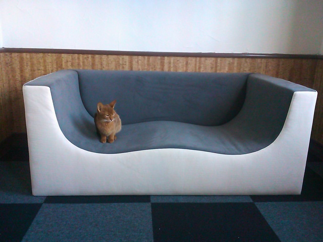 ソファとロンド.jpg