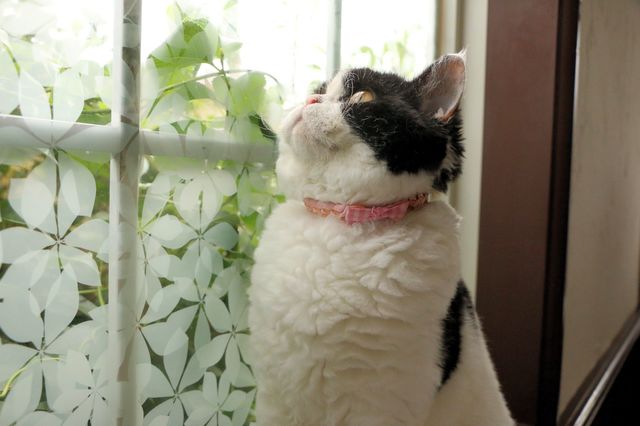 EOS 70D_1668.JPG